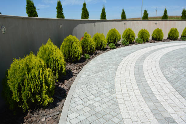 Best Driveway Paving Contractor  in Windcrest, TX