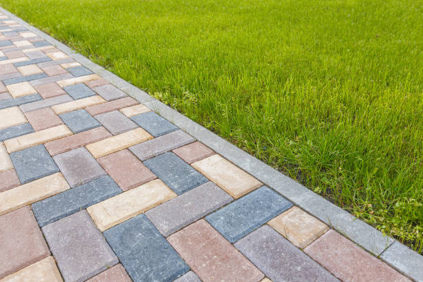 Best Local Driveway Pavers  in Windcrest, TX